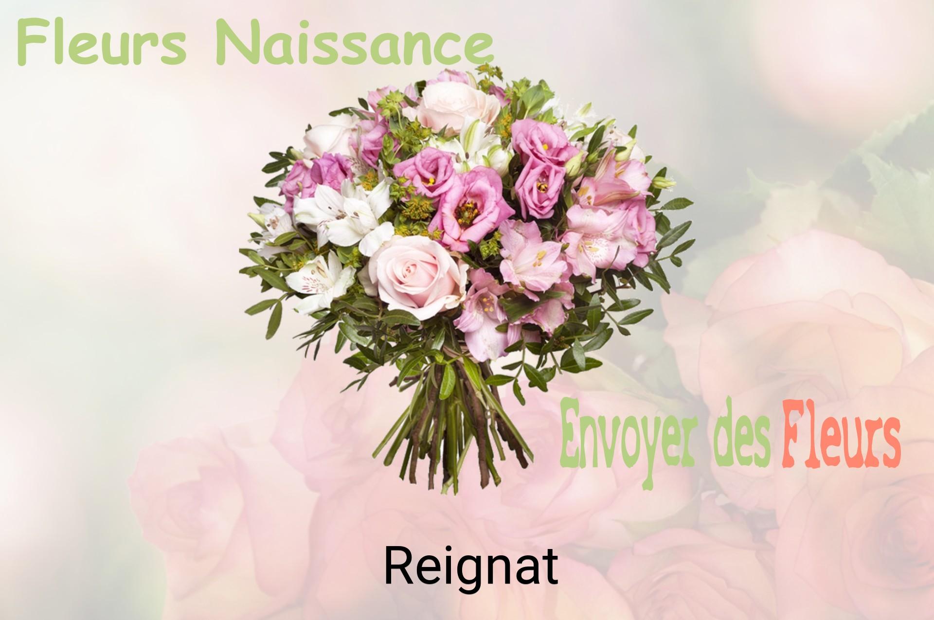 Bouquet de fleurs de naissance livré à Reignat